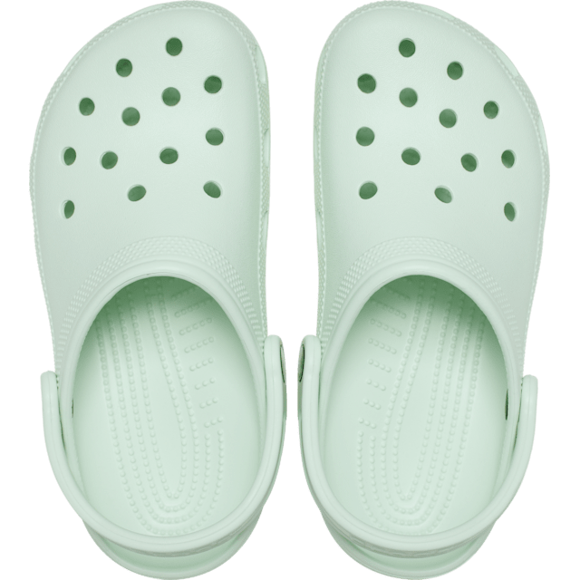 Mint