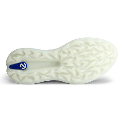 Ecco Biom H5 golfskór