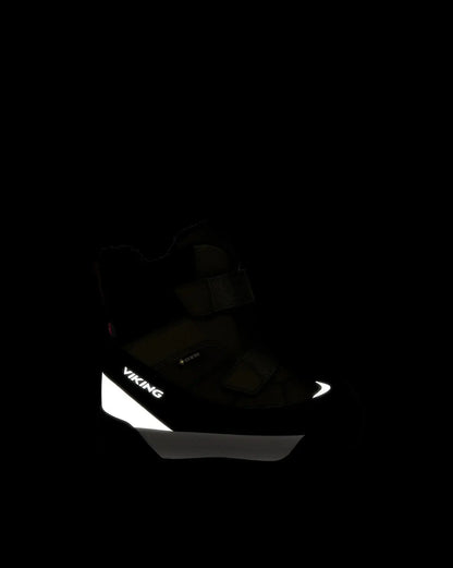 Viking Expower Warm GTX 2V